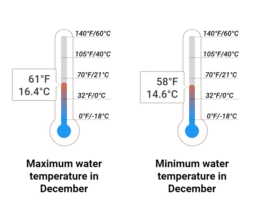 Average Sea temperature